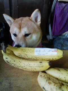 �N���b�N����Ɗg�債�܂��B