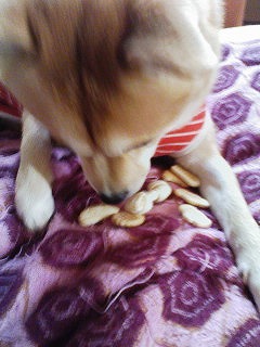 �N���b�N����Ɗg�債�܂��B