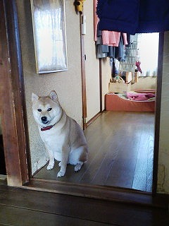 �N���b�N����Ɗg�債�܂��B