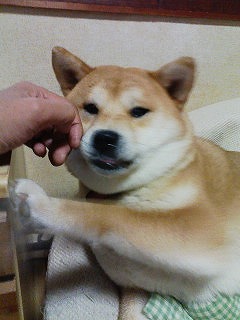 �N���b�N����Ɗg�債�܂��B