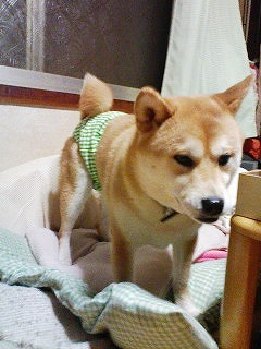 �N���b�N����Ɗg�債�܂��B