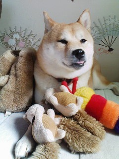 �N���b�N����Ɗg�債�܂��B