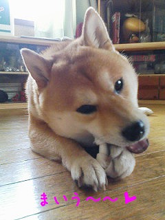 �N���b�N����Ɗg�債�܂��B