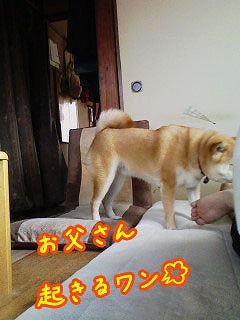 �N���b�N����Ɗg�債�܂��B