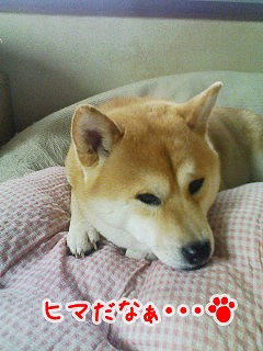 �N���b�N����Ɗg�債�܂��B