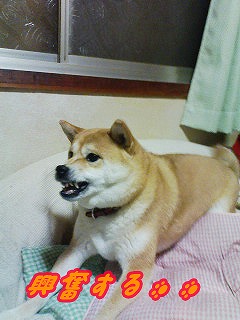 �N���b�N����Ɗg�債�܂��B