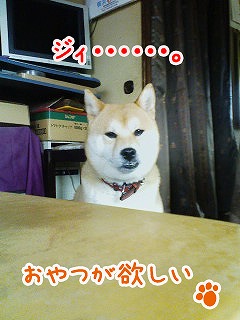 �N���b�N����Ɗg�債�܂��B