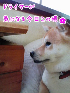 �N���b�N����Ɗg�債�܂��B