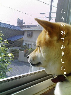 �N���b�N����Ɗg�債�܂��B
