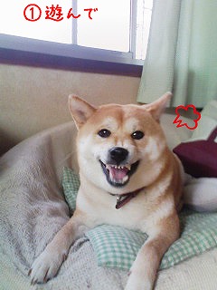 �N���b�N����Ɗg�債�܂��B