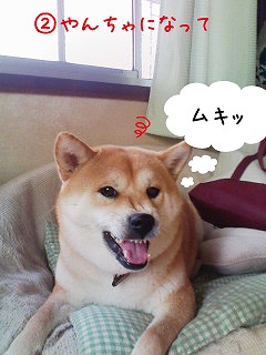 �N���b�N����Ɗg�債�܂��B