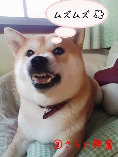 �N���b�N����Ɗg�債�܂��B