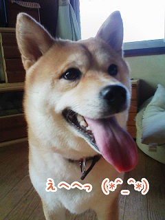 �N���b�N����Ɗg�債�܂��B
