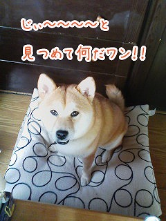 �N���b�N����Ɗg�債�܂��B