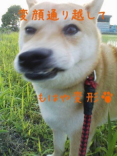 �N���b�N����Ɗg�債�܂��B