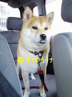 �N���b�N����Ɗg�債�܂��B