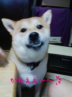 �N���b�N����Ɗg�債�܂��B