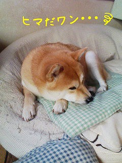 �N���b�N����Ɗg�債�܂��B